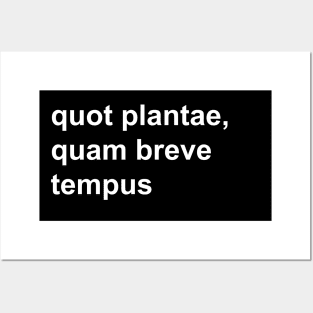 quot plantae, quam breve tempus Posters and Art